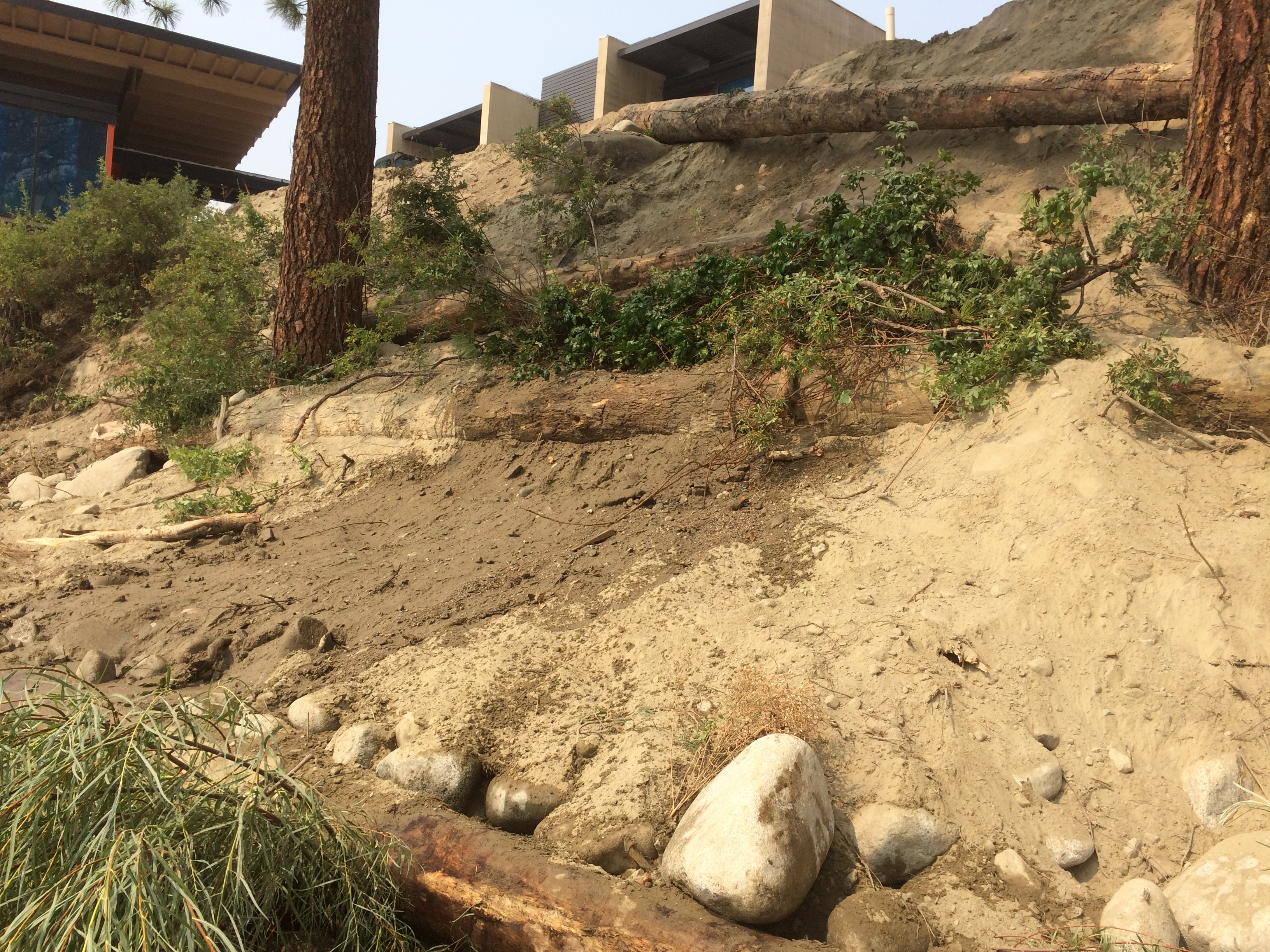 DuringTransplants DuringTransplants