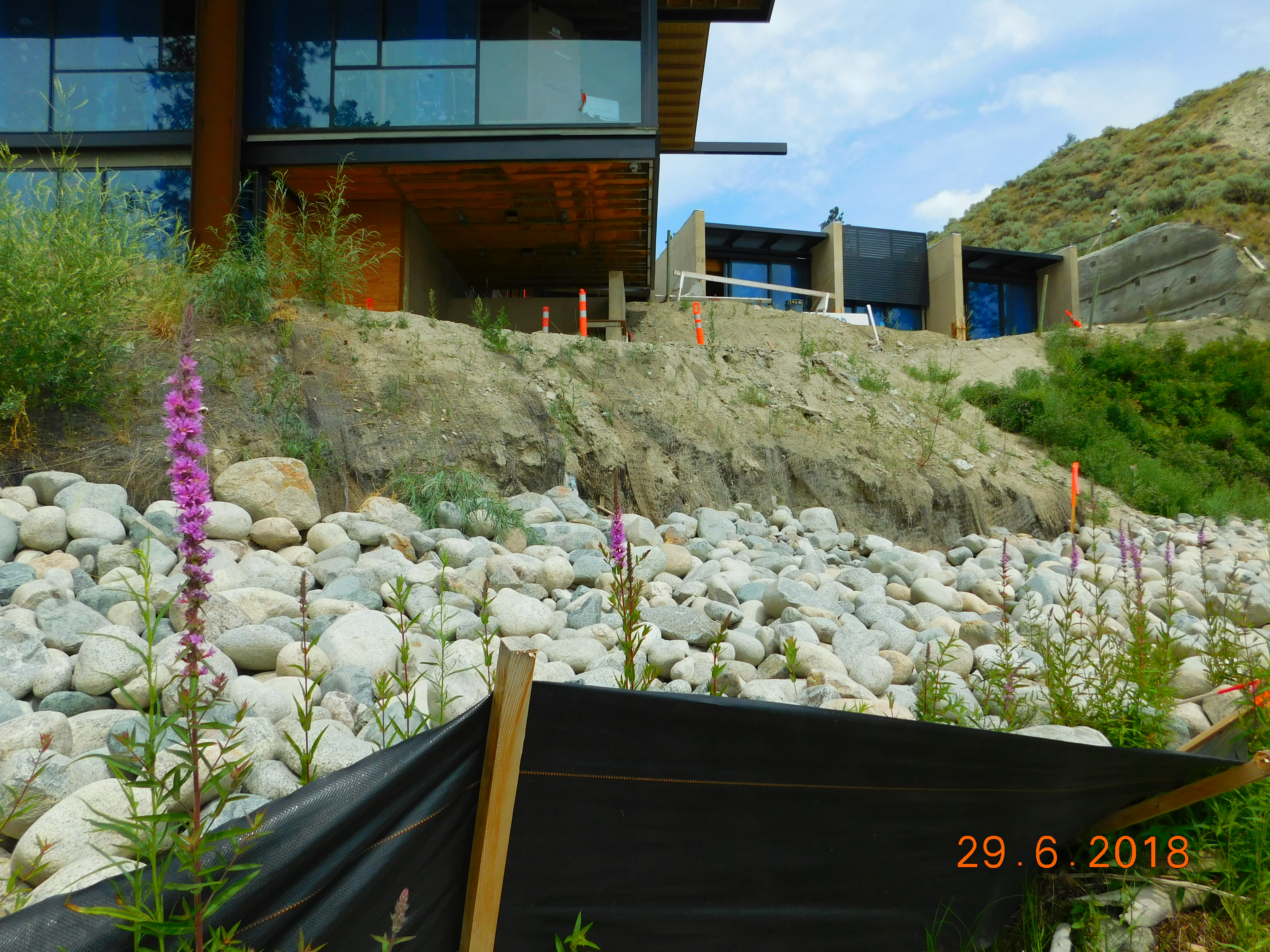 InvasiveWeeds InvasiveWeeds