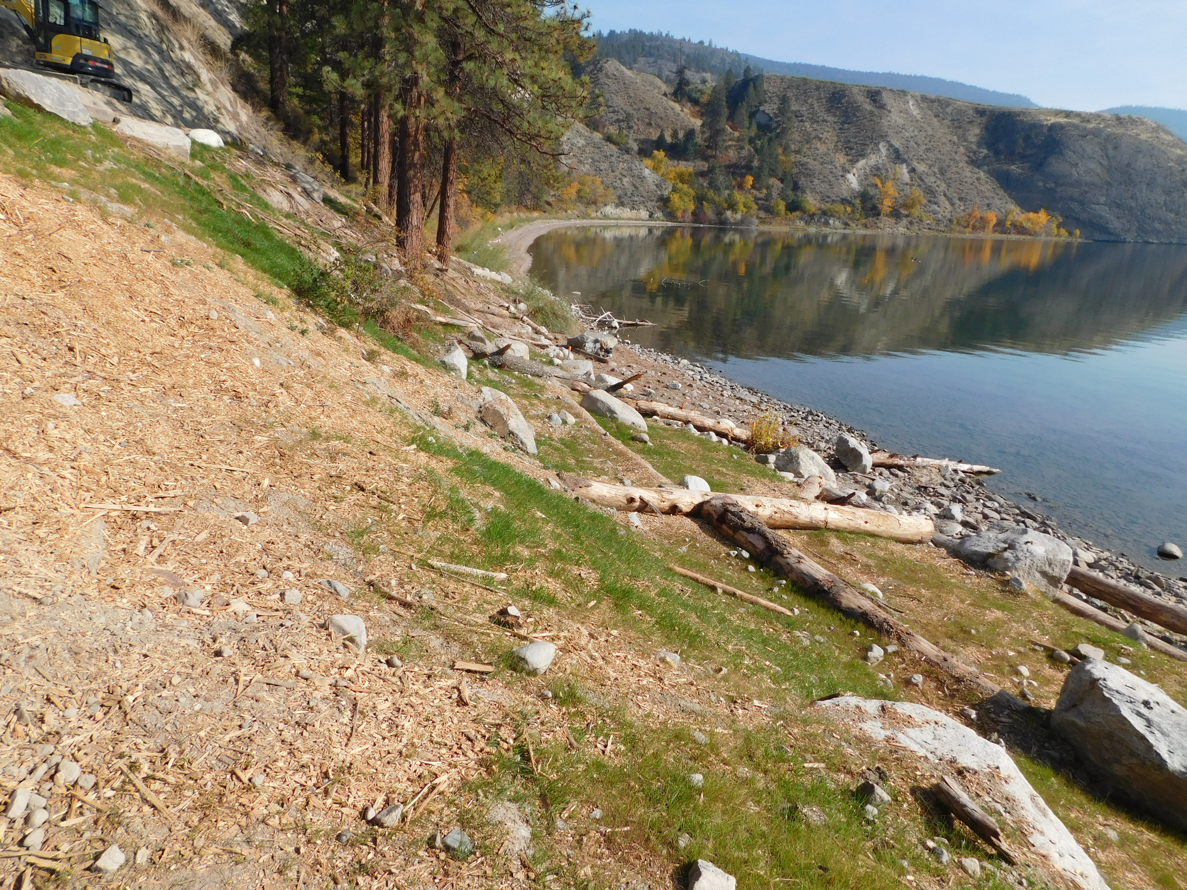 WoodChipAddition WoodChipAddition